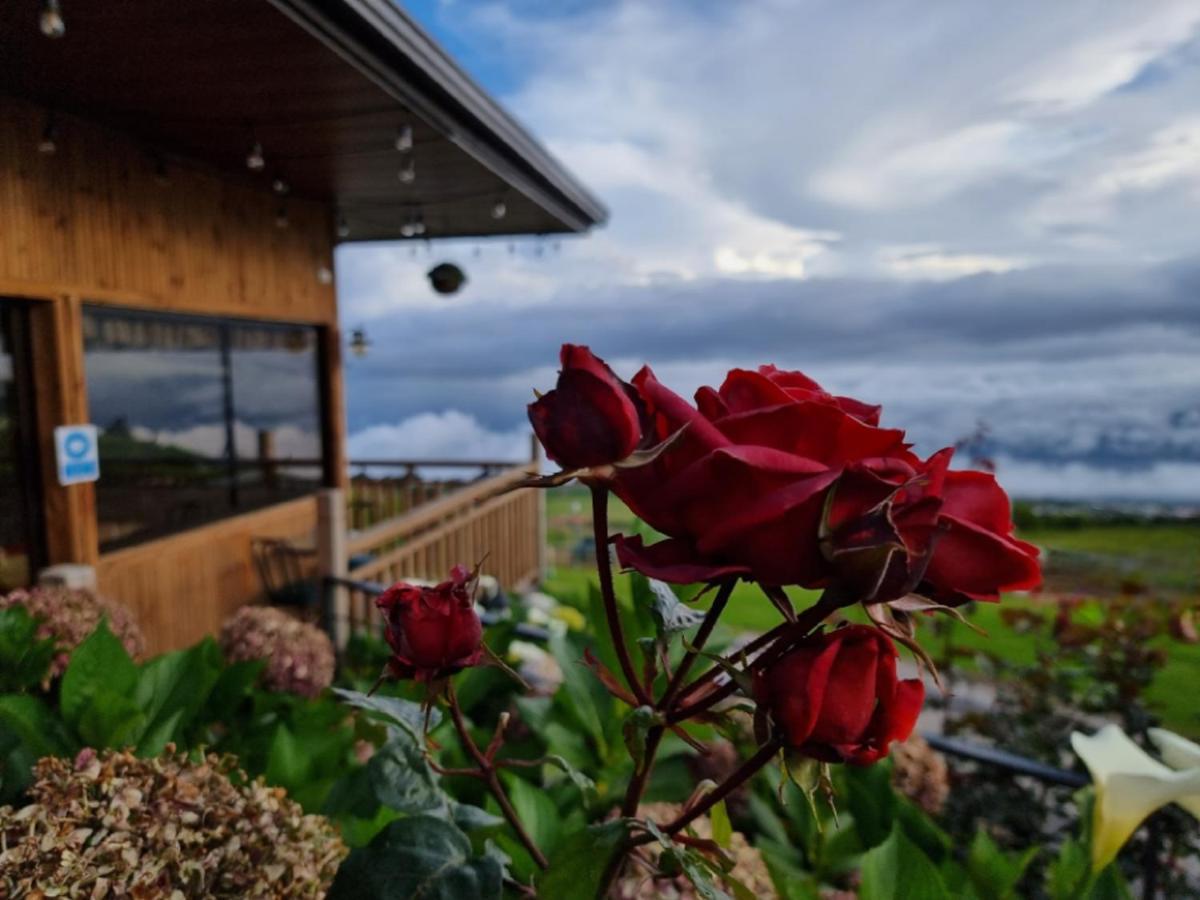 Hotel Cabanas Y Mirador Secret Garden Cr Картаго Экстерьер фото